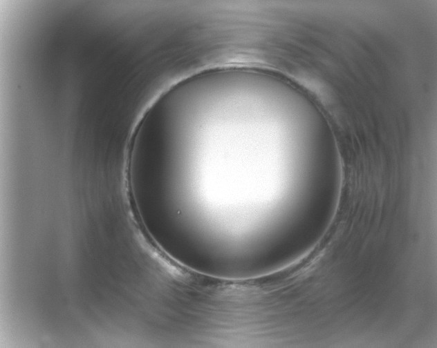 X0000069411374200605151033