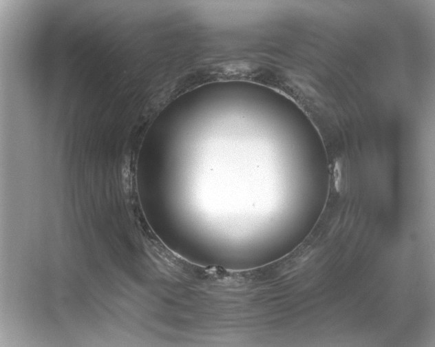 X0000069411395200605151032