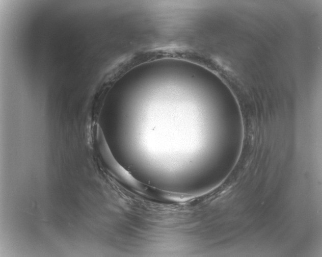 X0000069411398200605151032