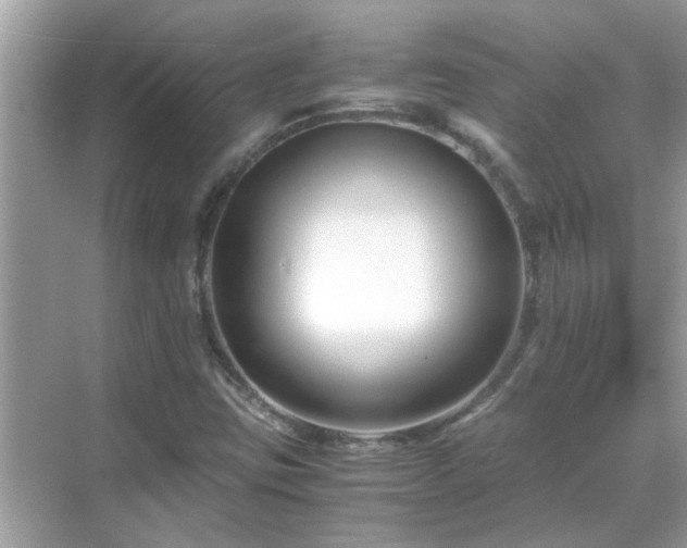 X0000069411403200605151032