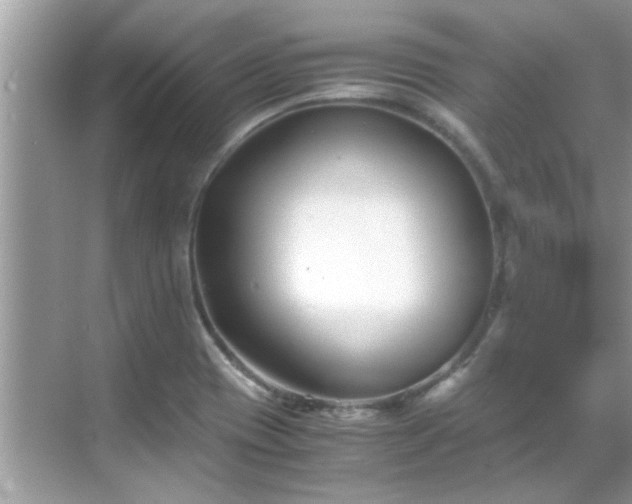 X0000069411417200605151033