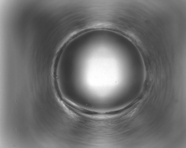 X0000069411422200605151033