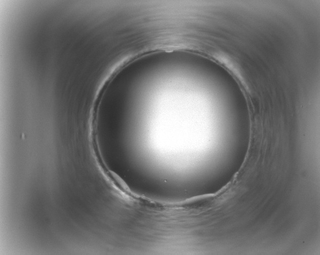 X0000069411477200605151032