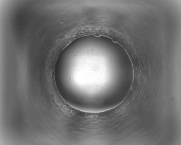 X0000069411489200605151031