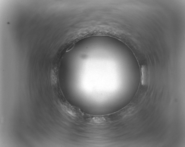X0000069411491200605151031