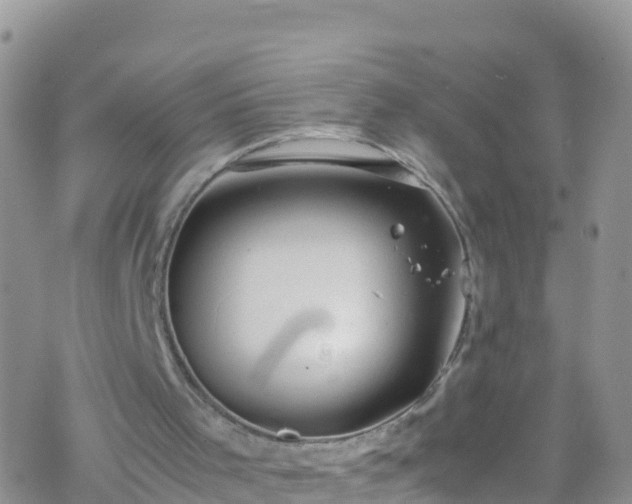 X0000069410001200605192315