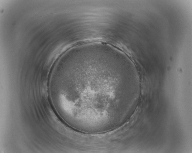 X0000069410002200605192315