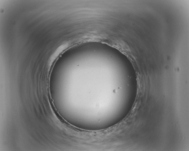 X0000069410003200605192315