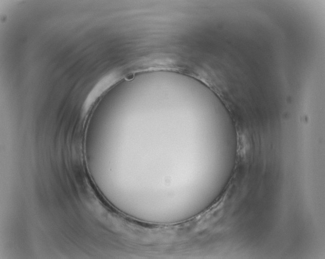 X0000069410004200605192315