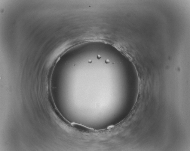 X0000069410005200605192315