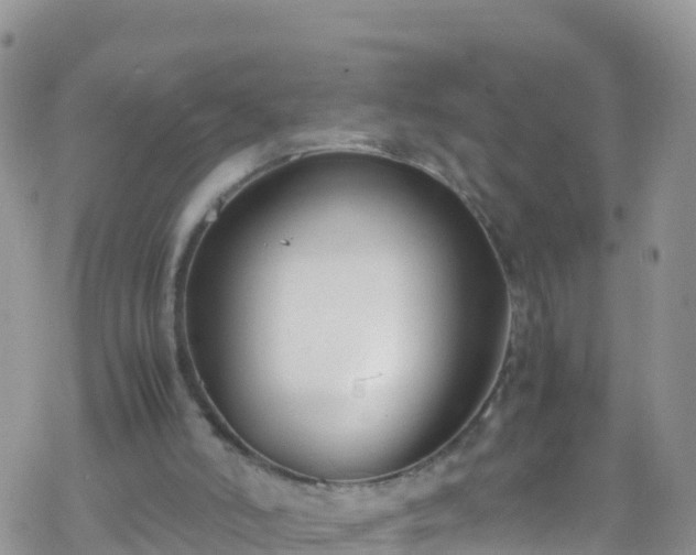 X0000069410006200605192315