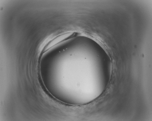 X0000069410007200605192315