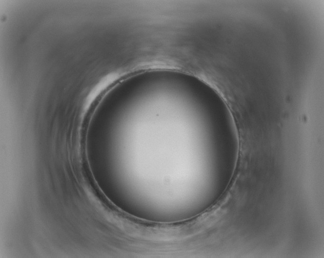 X0000069410008200605192315