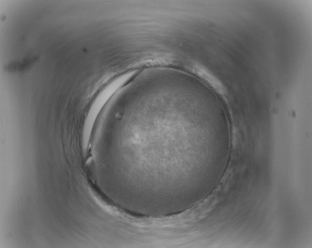 X0000069410009200605192315