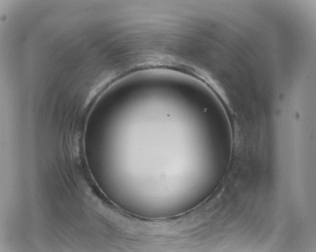 X0000069410010200605192315