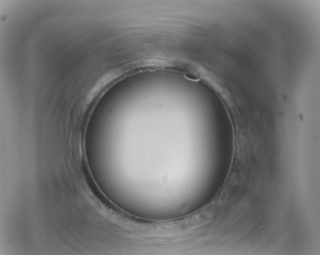 X0000069410011200605192315