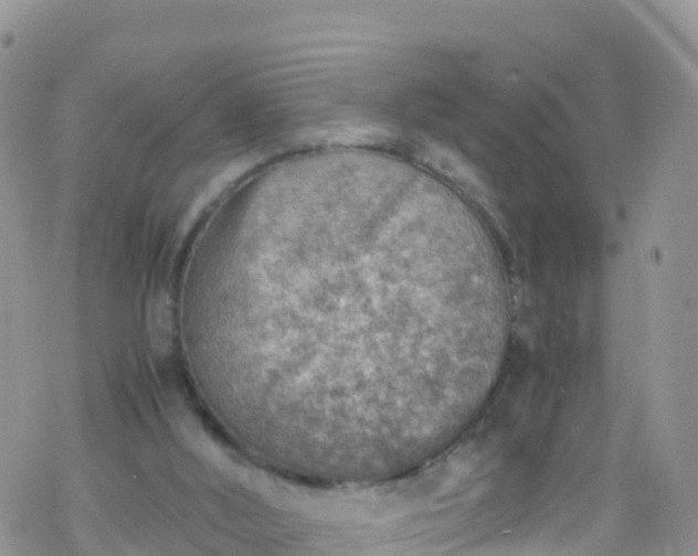 X0000069410012200605192315