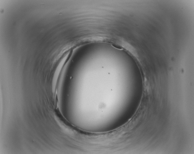 X0000069410013200605192315