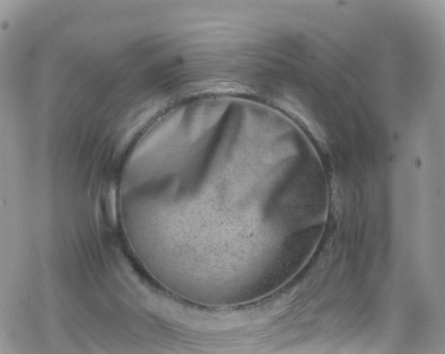 X0000069410014200605192315