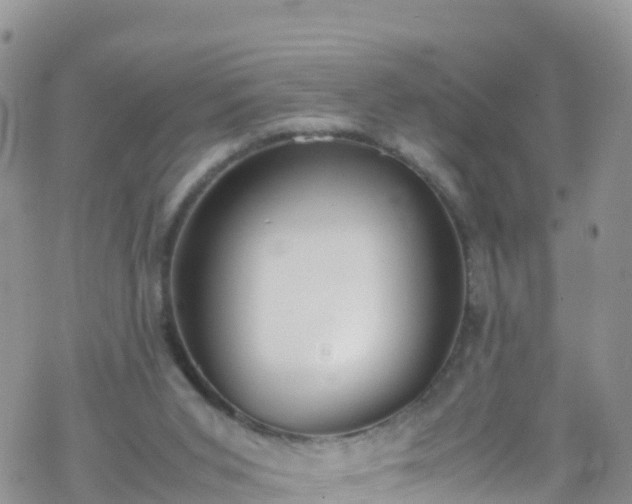 X0000069410015200605192315