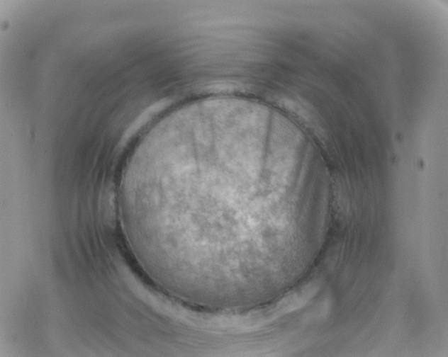 X0000069410016200605192315