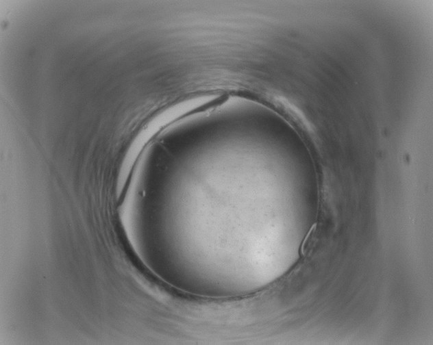 X0000069410017200605192315