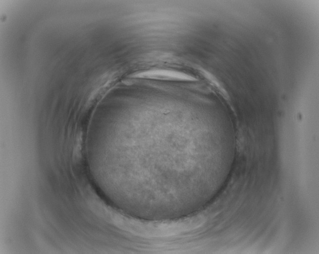 X0000069410018200605192315