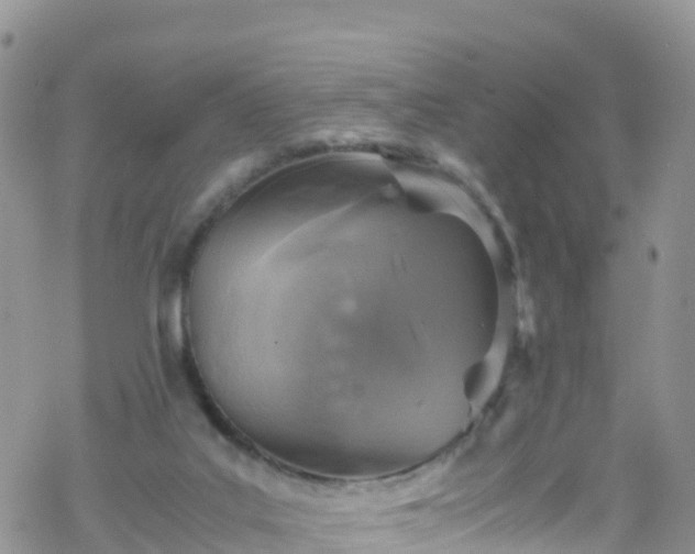 X0000069410019200605192315