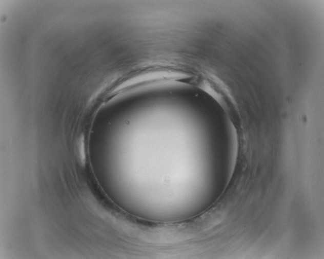 X0000069410020200605192315