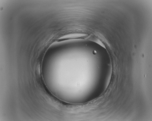 X0000069410021200605192315