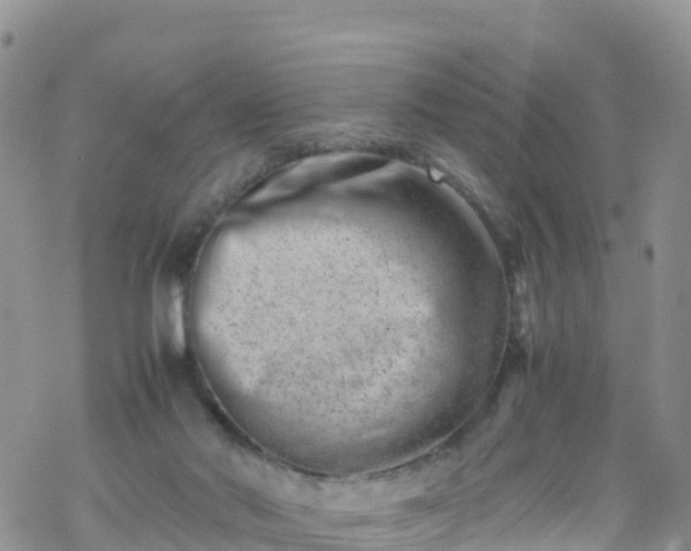 X0000069410022200605192315