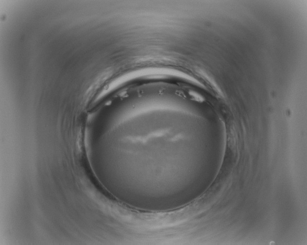 X0000069410023200605192315