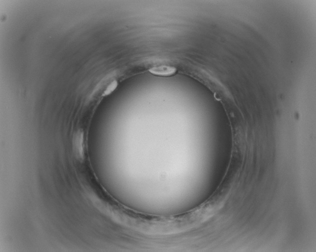 X0000069410024200605192315