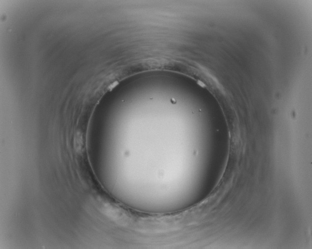 X0000069410025200605192315