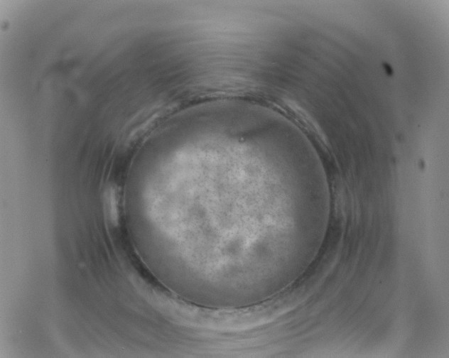 X0000069410026200605192315