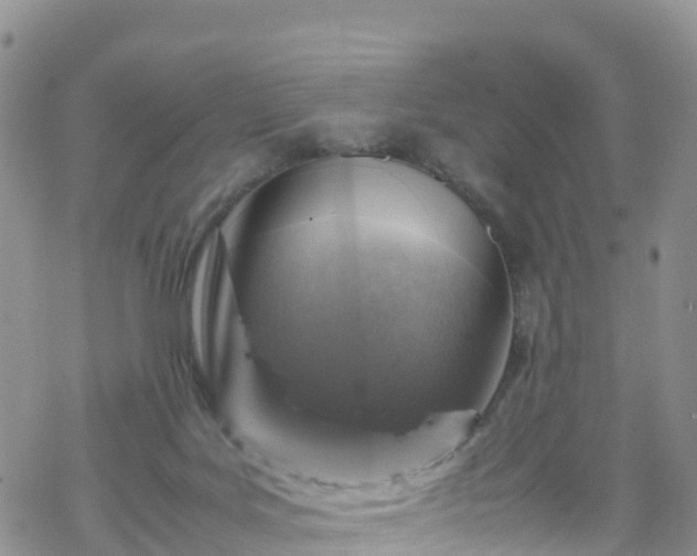 X0000069410027200605192315