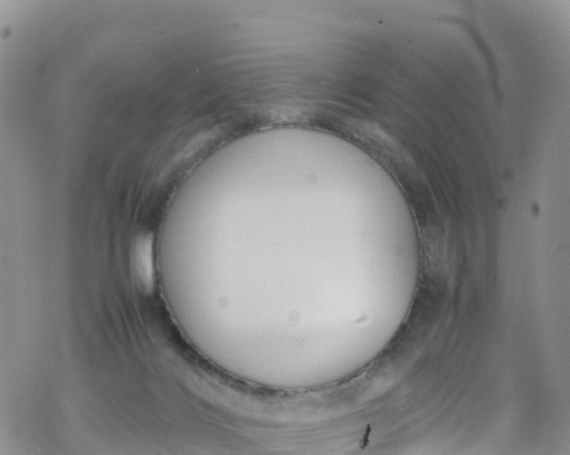 X0000069410028200605192315