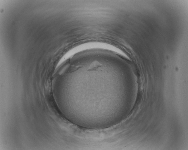 X0000069410029200605192315