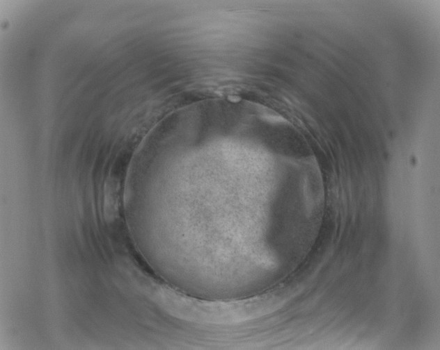 X0000069410030200605192315