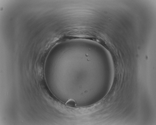 X0000069410031200605192315