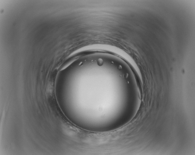 X0000069410033200605192315