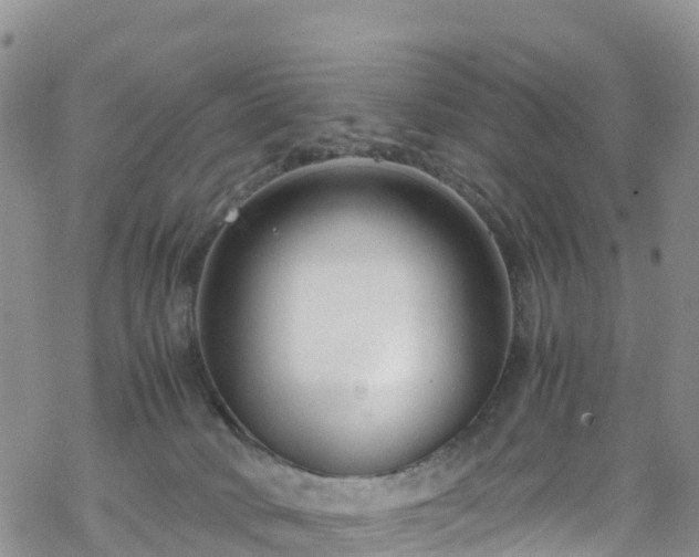 X0000069410034200605192315