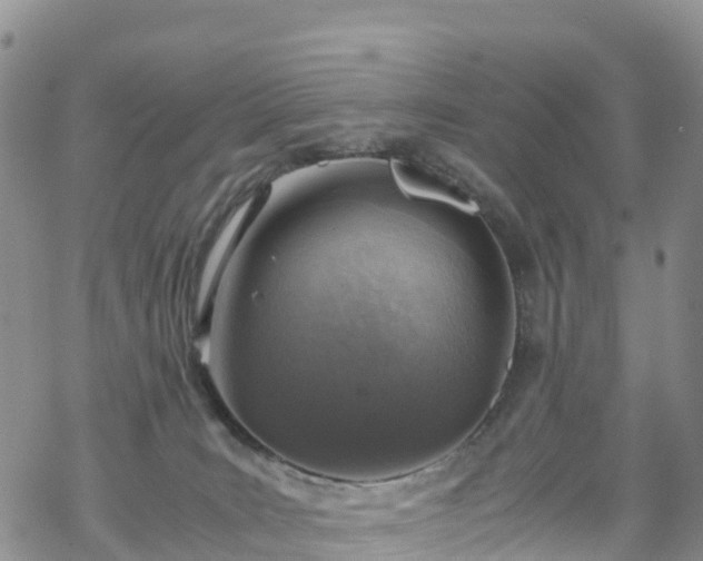 X0000069410035200605192315