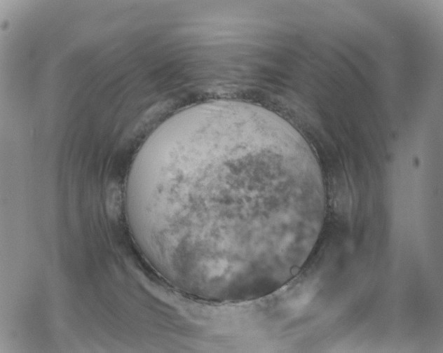 X0000069410036200605192315