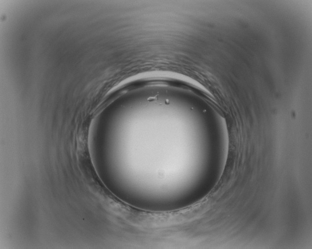 X0000069410037200605192315