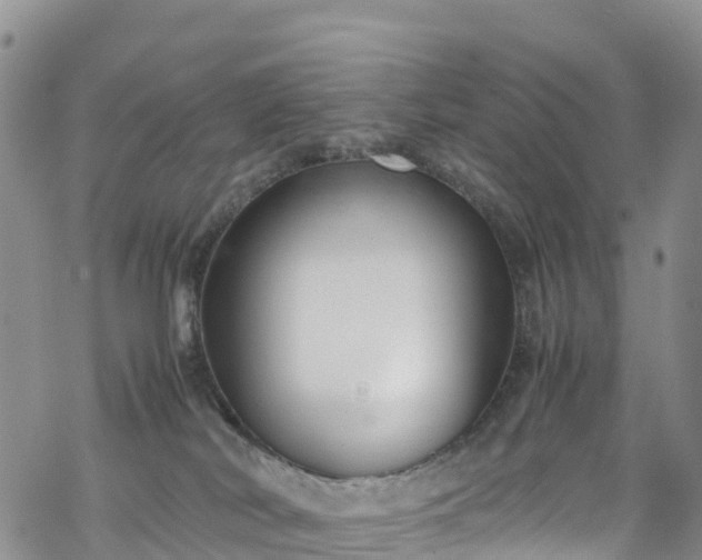 X0000069410038200605192315