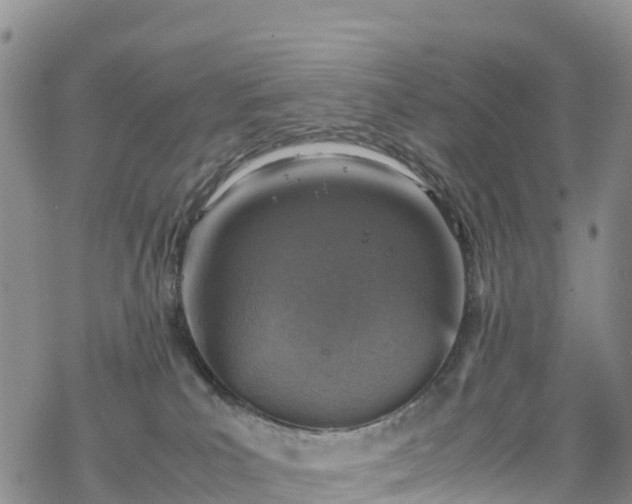 X0000069410039200605192315