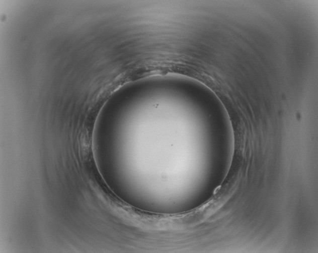 X0000069410040200605192315