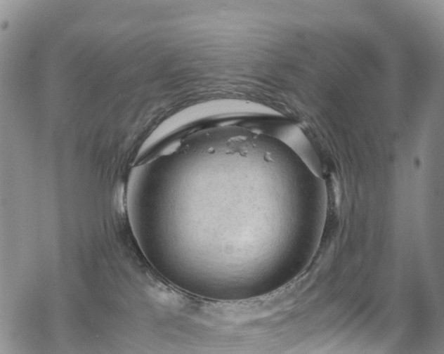 X0000069410041200605192315