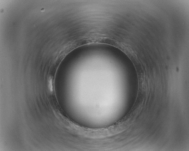 X0000069410042200605192315